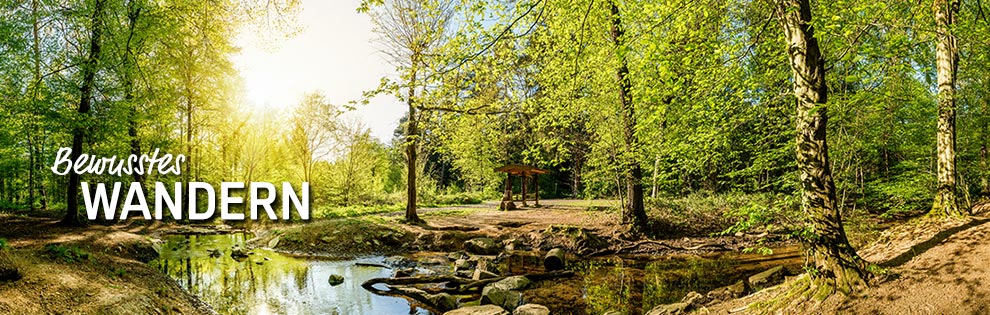 Bewusstes Wandern