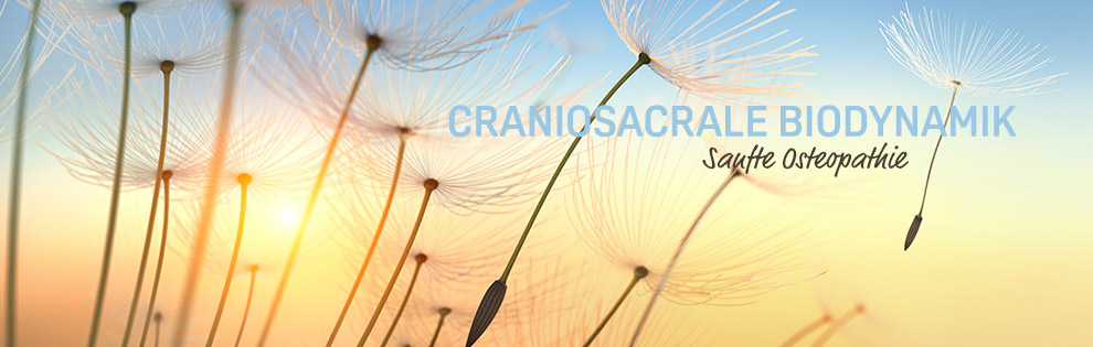 Craniosacrale Biodynamik - sanfte Osteopathie